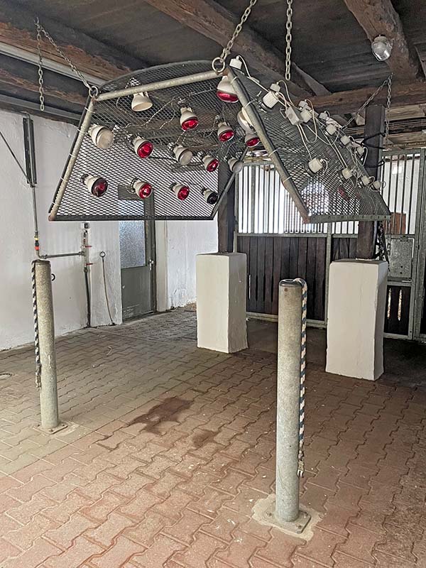 Pferdesolarium