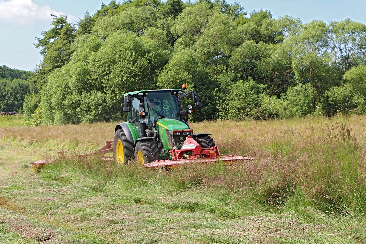 Gras mähen